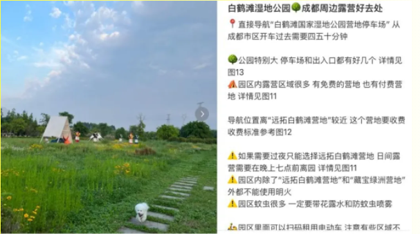 赛艇43